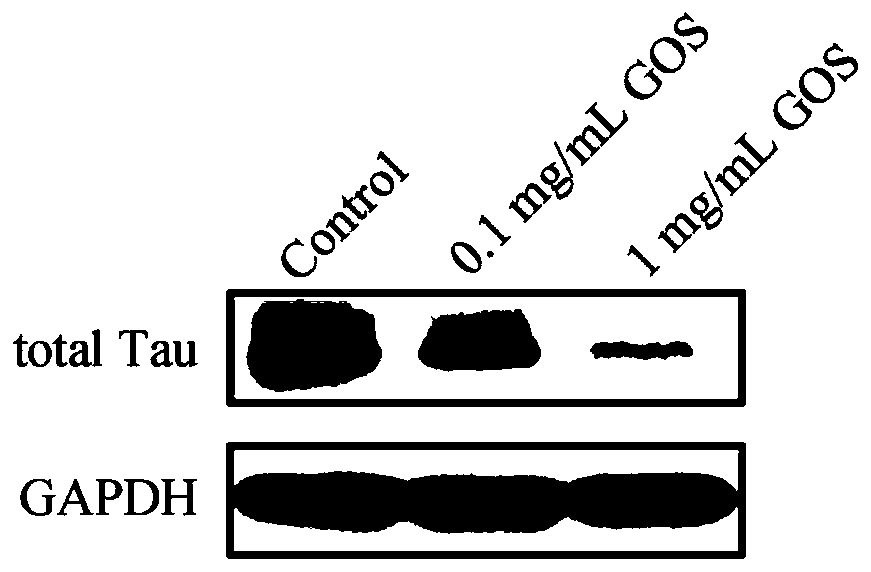 Application of oligo-guluronic acid in drugs for prevention and treatment of Tau protein diseases