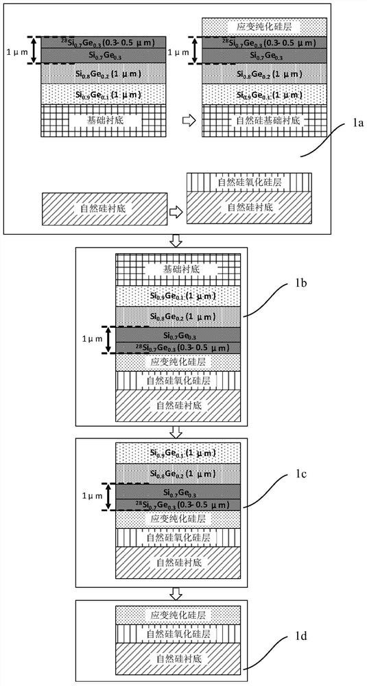 A strain purified silicon substrate for semiconductor quantum computation and method of forming same