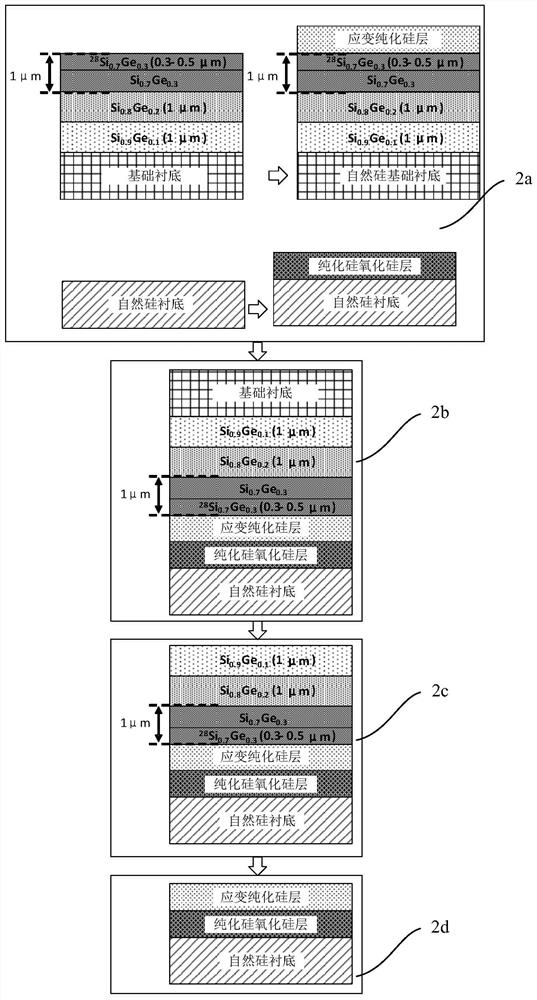 A strain purified silicon substrate for semiconductor quantum computation and method of forming same