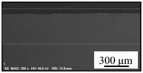 Copper-based surface porous structure and manufacturing method thereof ...