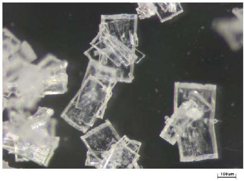 Crystallization method for improving crystal habit of ethyl vanillin by adding polyvinylpyrrolidone