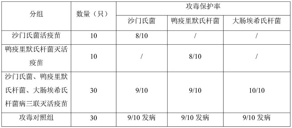 Triple vaccine for salmonella, riemerella anatipestifer and escherichia coli