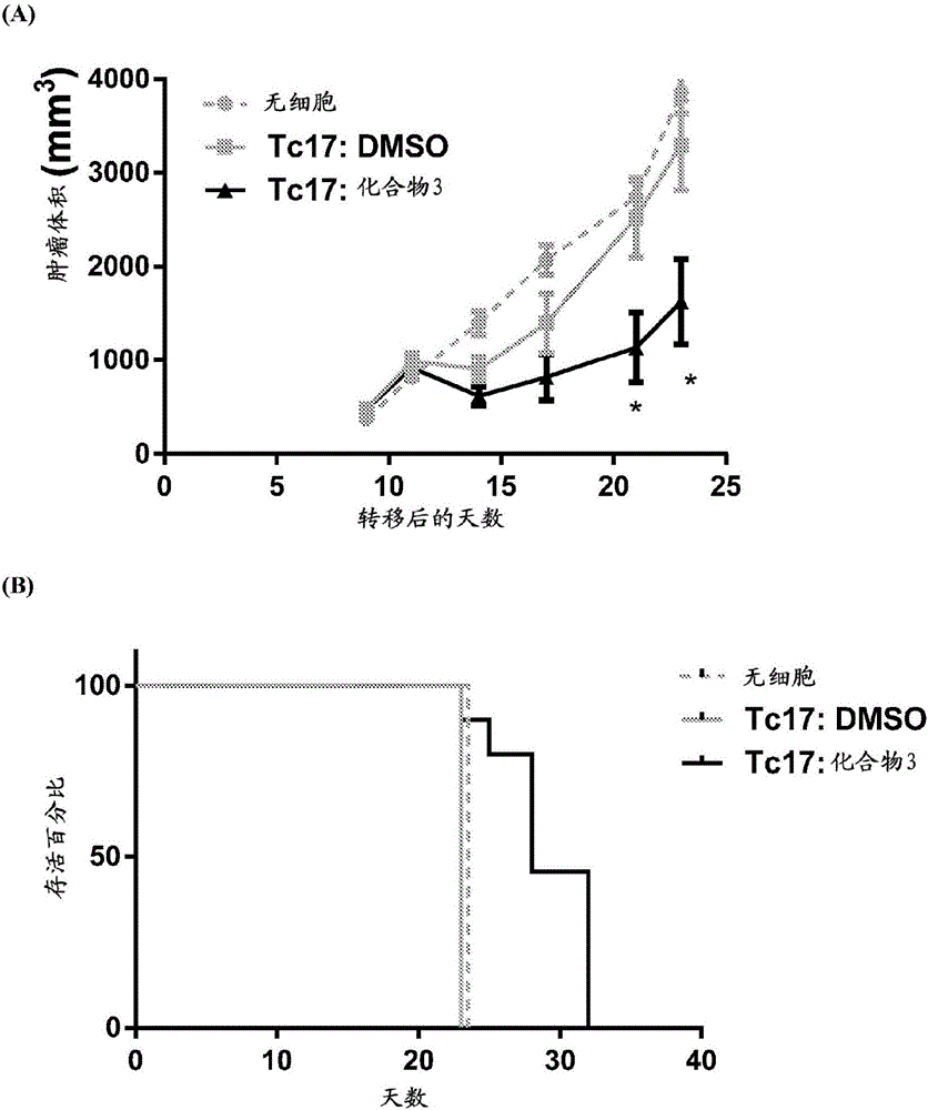 Adoptive cellular therapy using an agonist of retinoic acid receptor-related orphan receptor gamma & related therapeutic methods