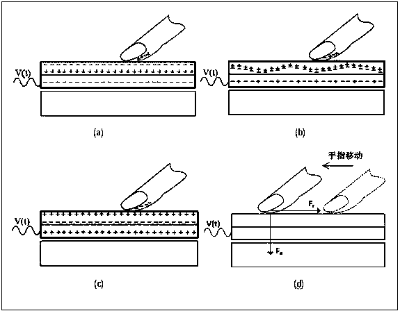 Touch representation device and method for braille reading