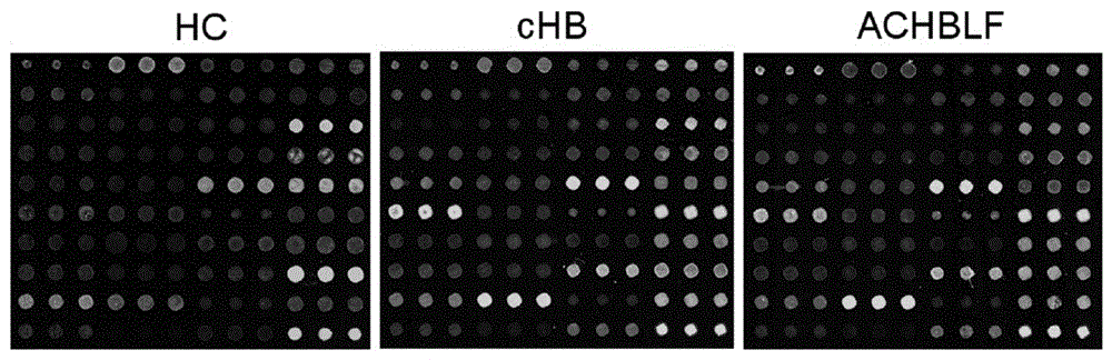 Lectin microarray for detecting carbohydrate chain marker based on protein in saliva, lectin microarray for detecting carbohydrate chain marker jointly based on protein in saliva and serum, kit and applications of lectin microarrays