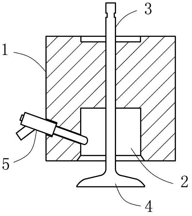 Liquid gas fuel liquid direct-injection device and composite valve of engine