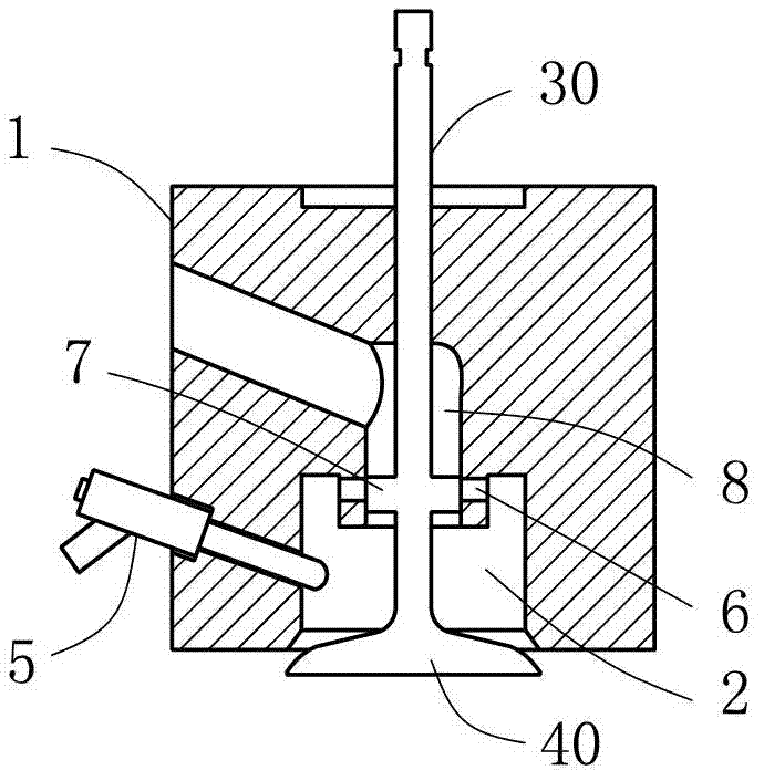 Liquid gas fuel liquid direct-injection device and composite valve of engine