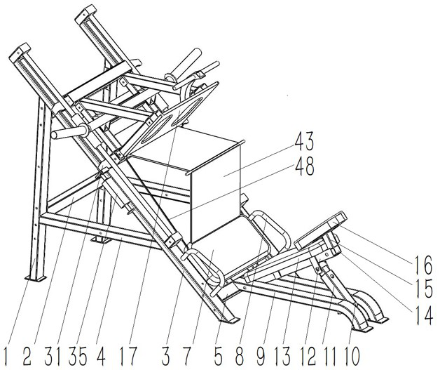 Training device for enhancing physical ability of students