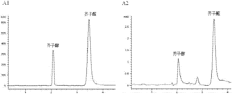 Protein with cinnamyl alcohol dehydrogenase activity and coding gene as well as application thereof