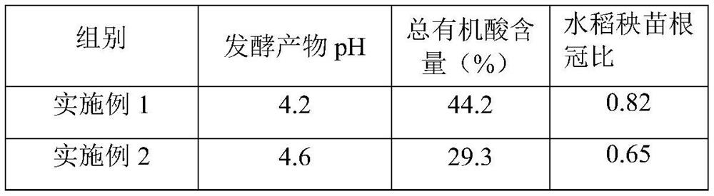 Rice seedling culture substrate and preparation method thereof, and organic acid soil and preparation method thereof