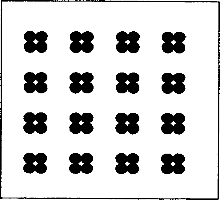 Protein chip for detecting blood and cerebro spinal fluid pathogen antibody, and its preparing method and use