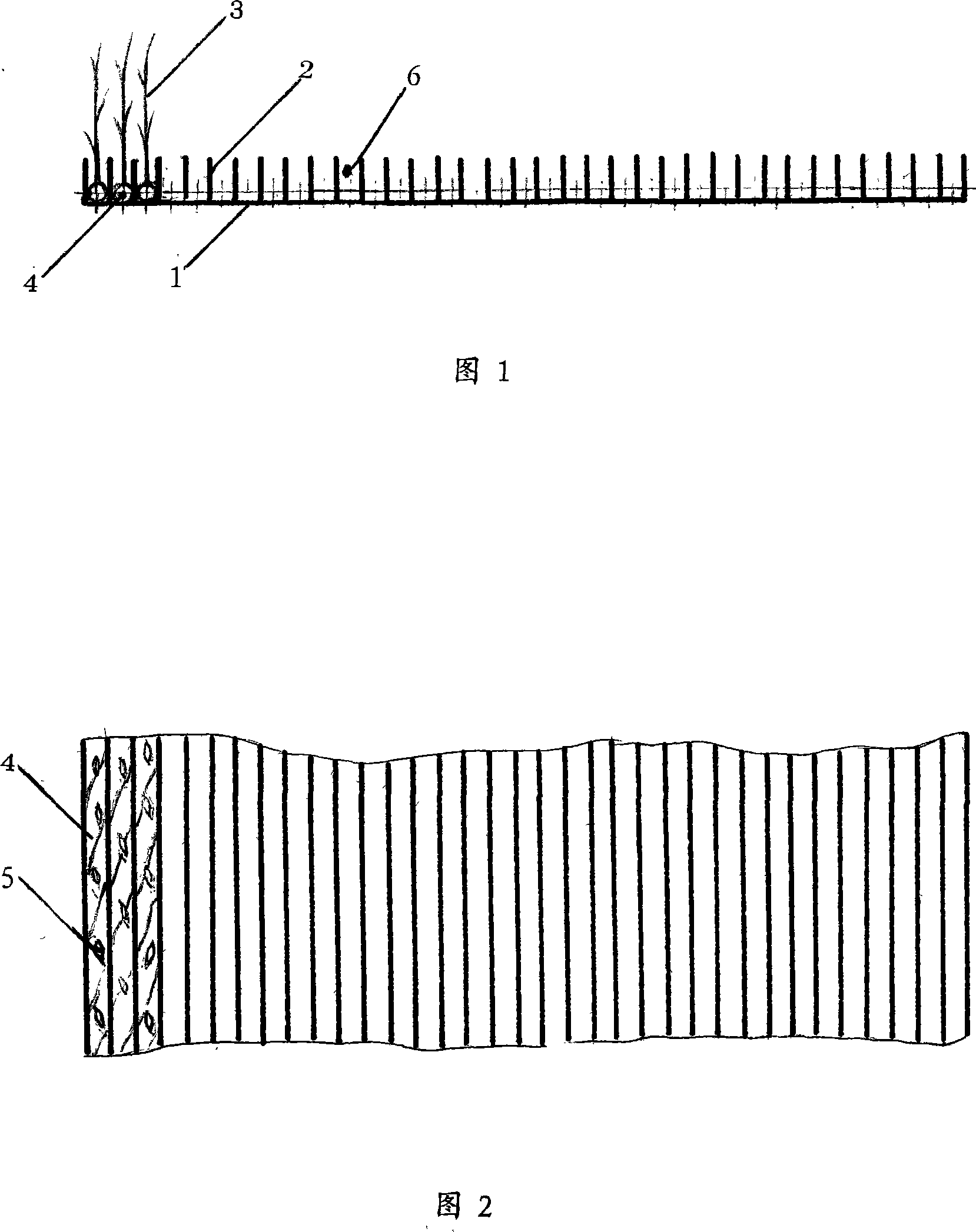 Seedling planting technology with straw rope as seedling carrier