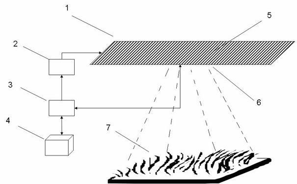 Solar ray utilization method for plant culture