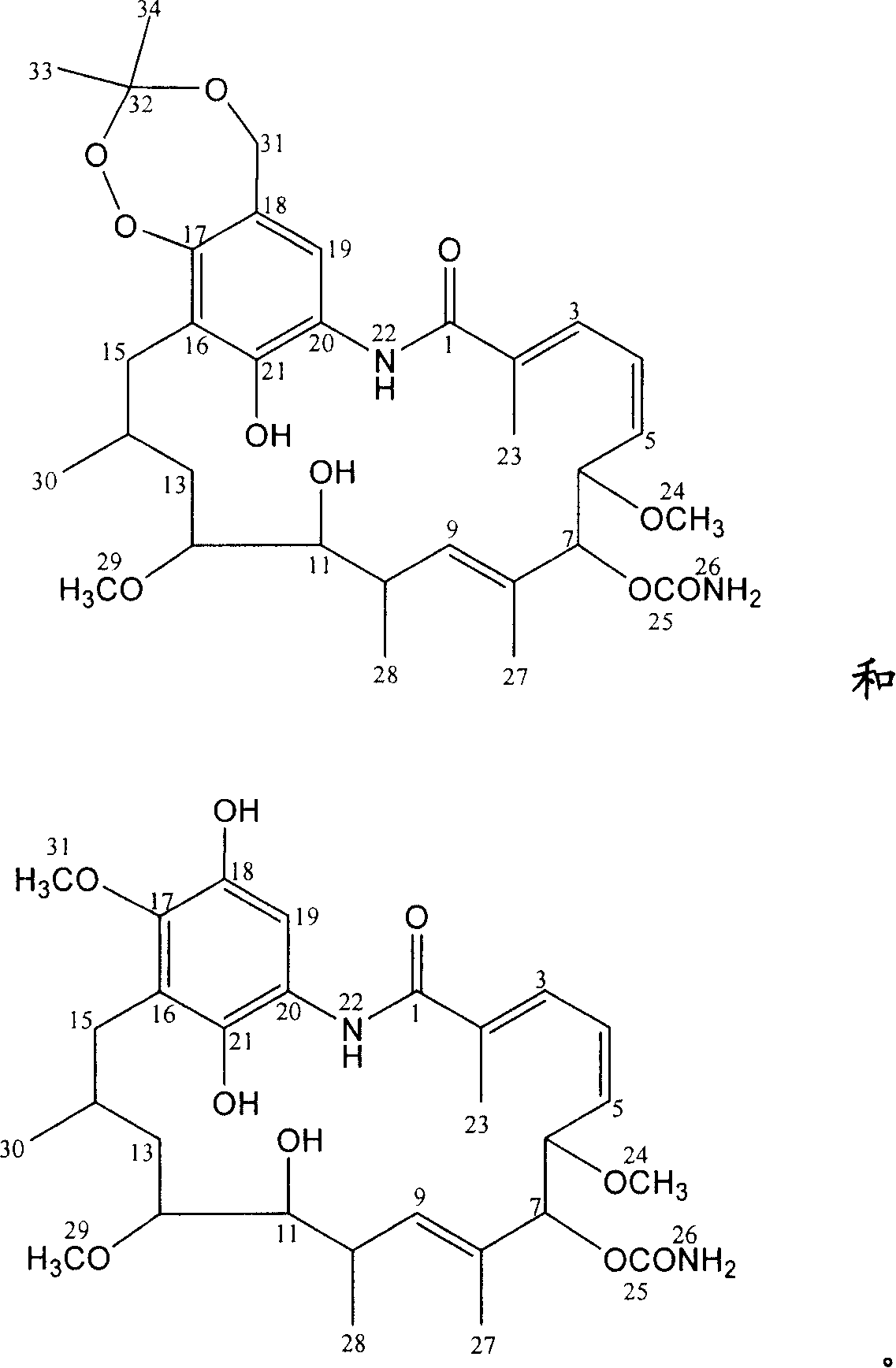 Aromatic reductive derivative of geldanamycin benzoquinone, preparation method and use thereof