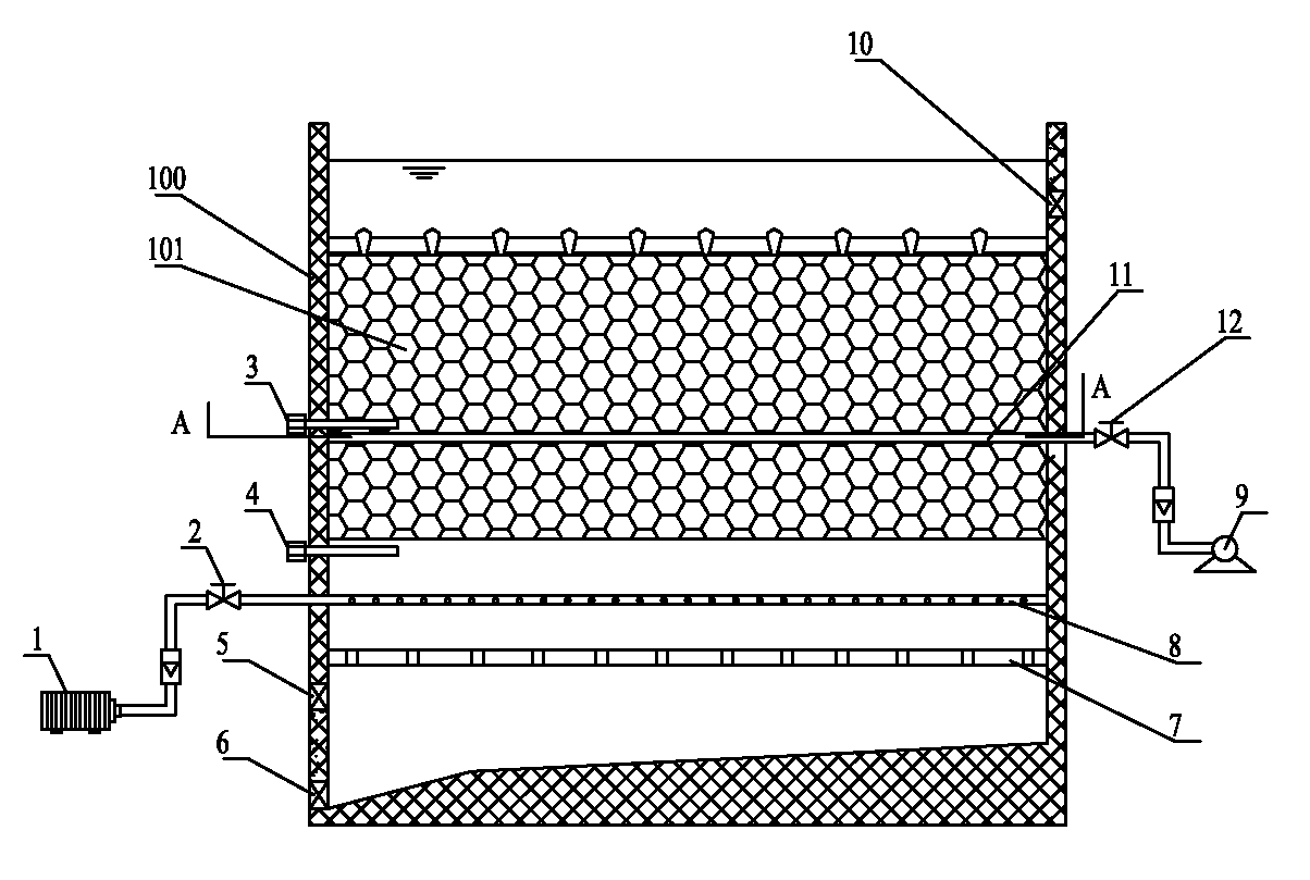 Backwashing apparatus and method for aeration biofilter with lightweight filter material