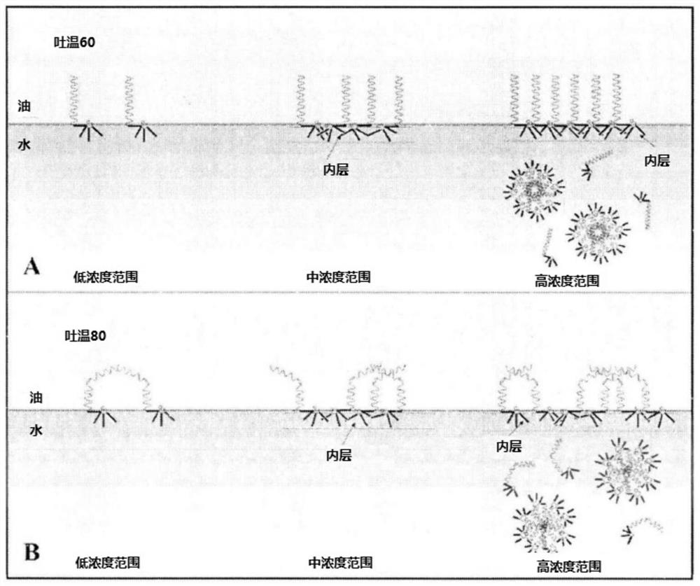 A kind of special detergent composition of low-foam type automatic dishwasher