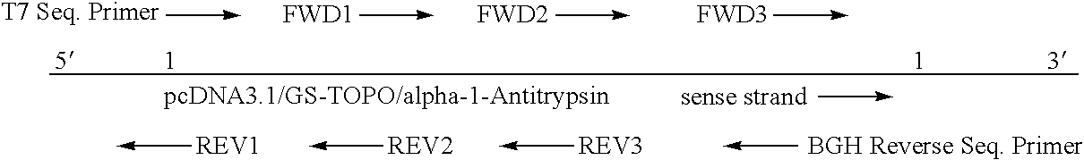 DNA for expression of alpha 1-antitrypsin in methylotropic yeast