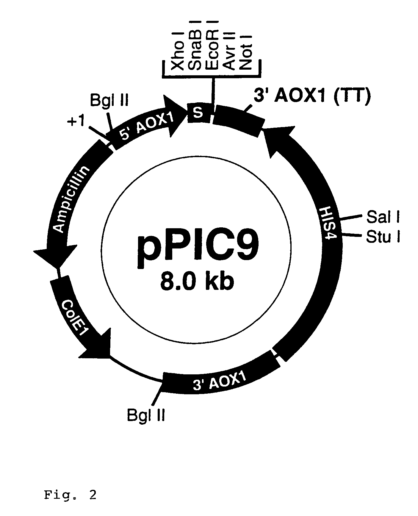 DNA for expression of alpha 1-antitrypsin in methylotropic yeast