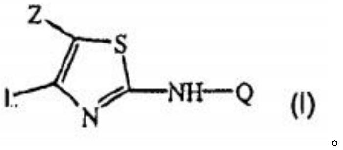 A kind of thiazolamide derivative and its antidepressant use