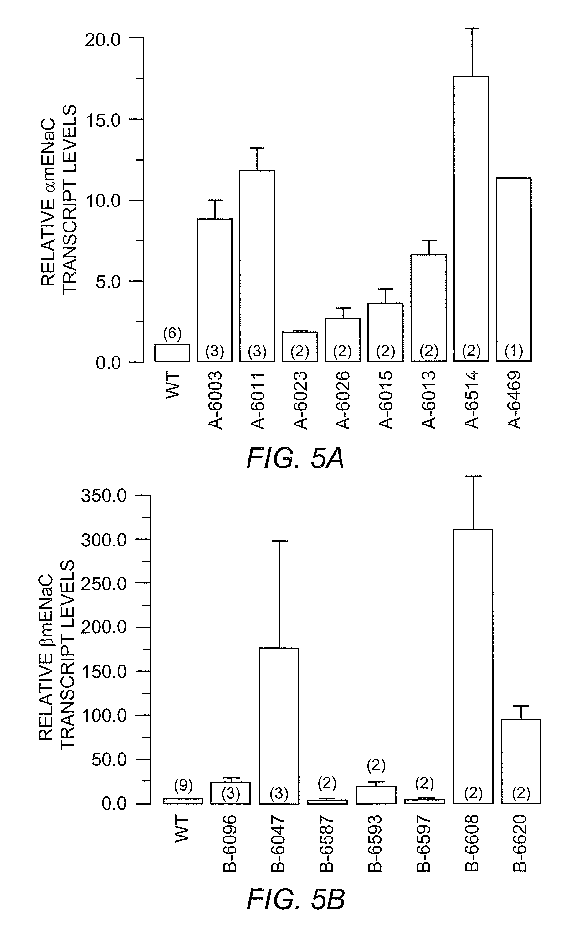 Animal model for chronic obstructive pulmonary disease and cystic fibrosis