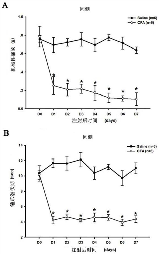 Application of antagonist of il-36r in preparation of analgesic medicine