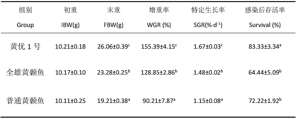 Cross breeding method for Pelteobagrus fulvidraco variety namely Huangyou No. 1 with improved growth character