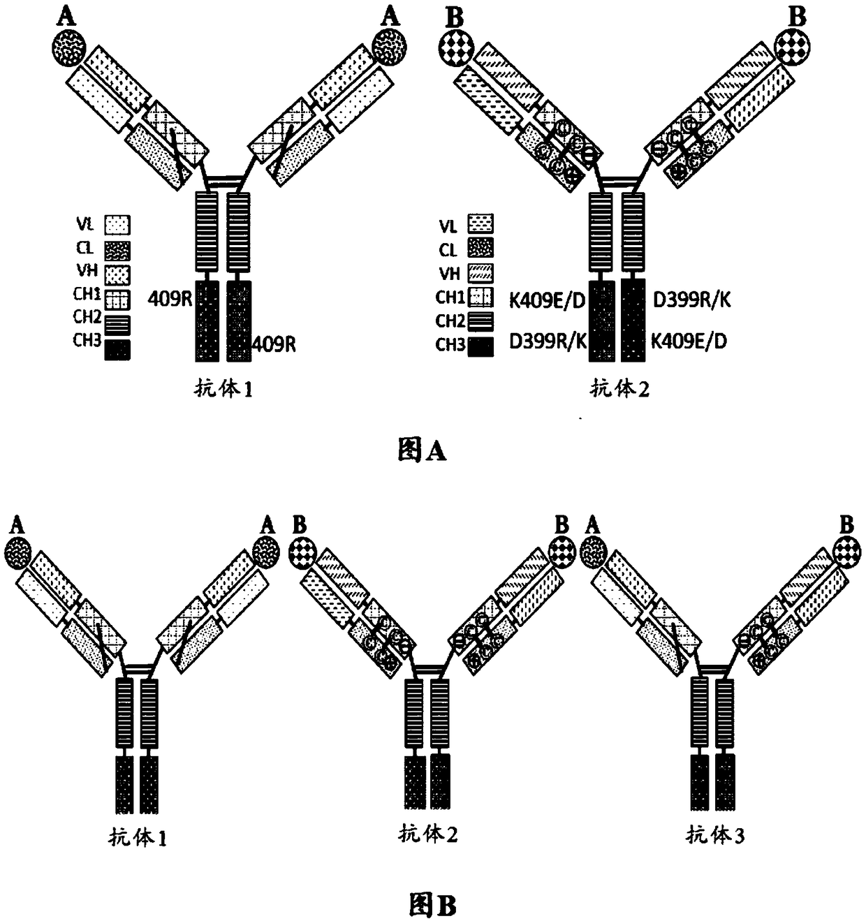 Mixtures of antibodies