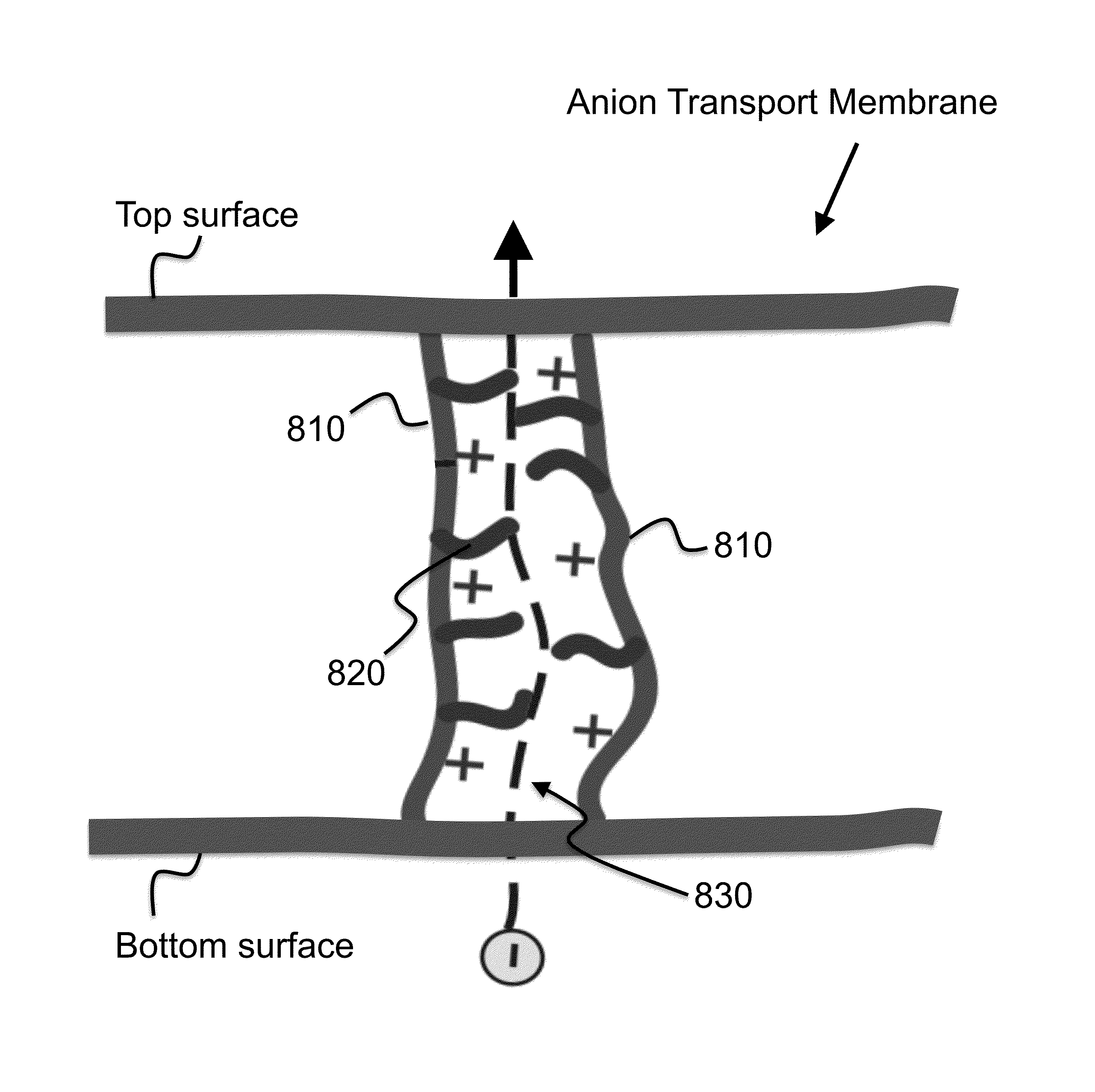 Anion transport membrane