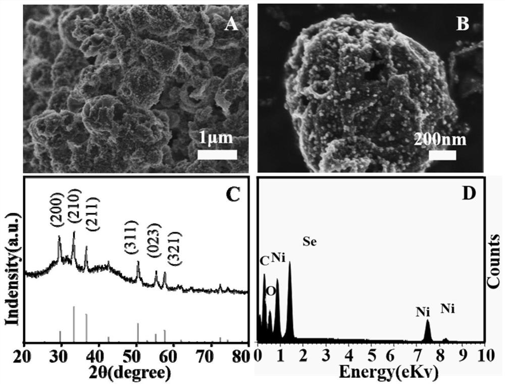 Preparation method and application of novel hydrogen evolution reaction catalyst Ni2SeS alloy nanorod modified porous carbon sphere composite material