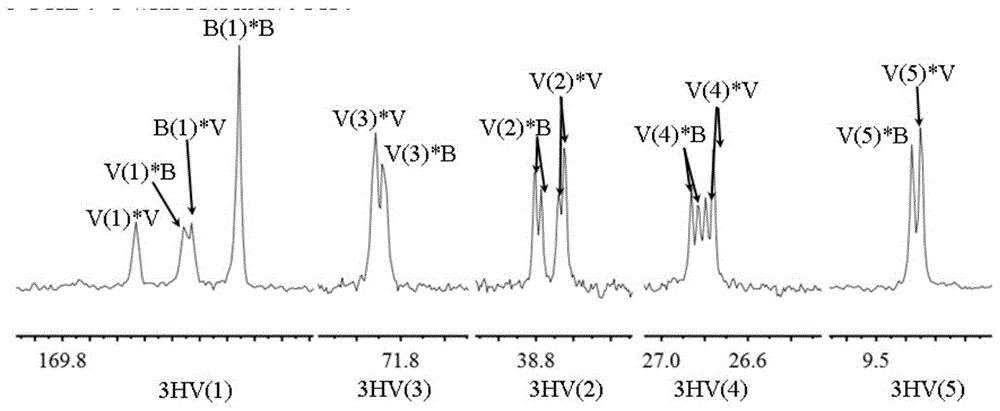 A kind of phbv polymer, preparation method and hemostatic material made of phbv polymer