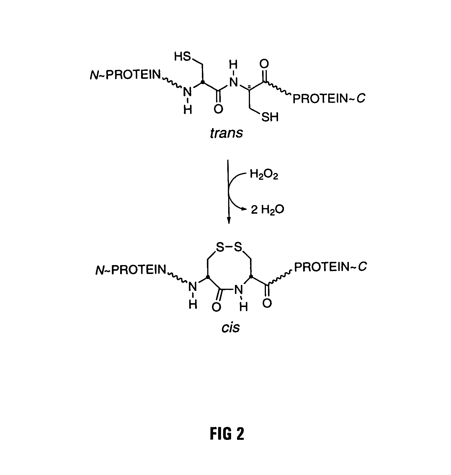 Oxidation-resistant ribonuclease inhibitor