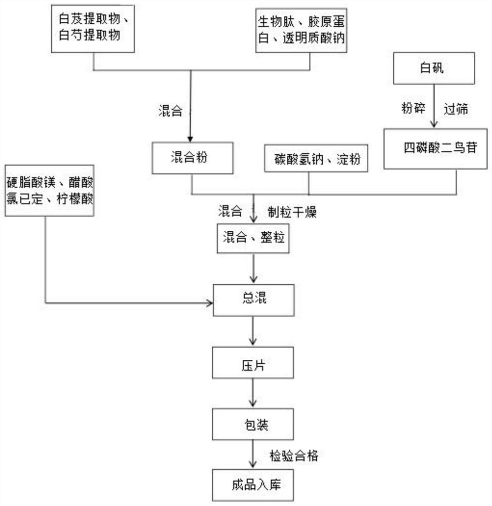 Pharmaceutical composition and preparation method, externally applied medicine and application thereof