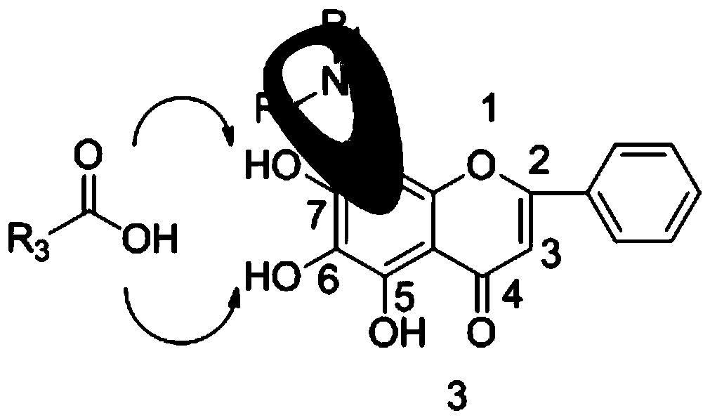A kind of flavonoid derivative and its preparation method and identification method