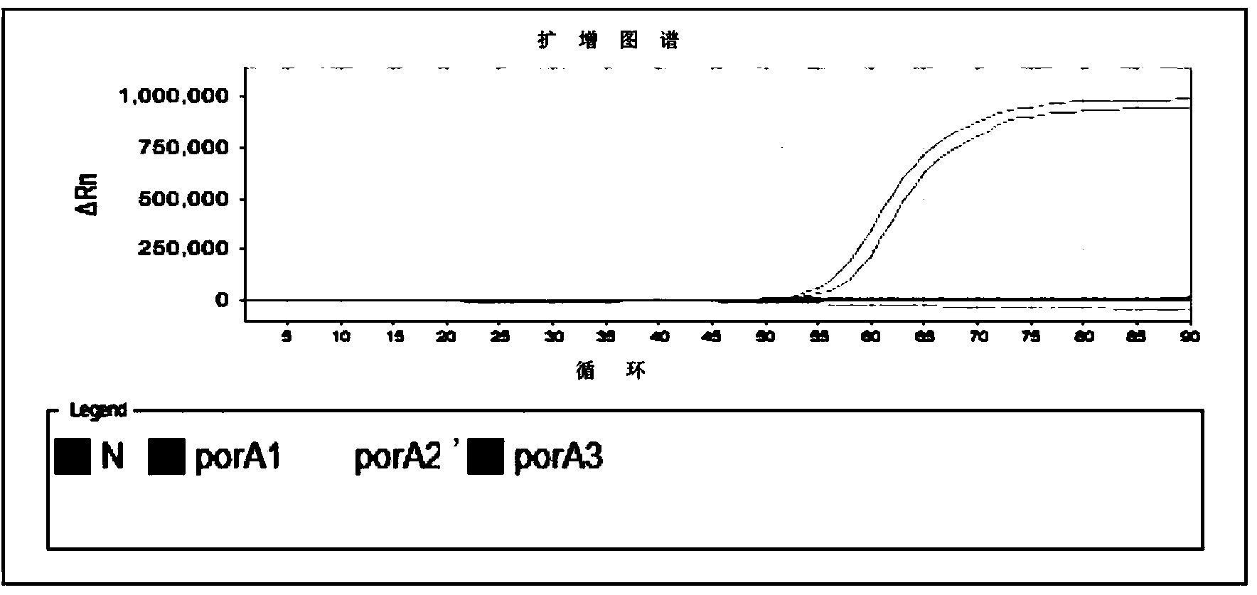 Primer group for gonococci detection, kit containing primer group and application thereof