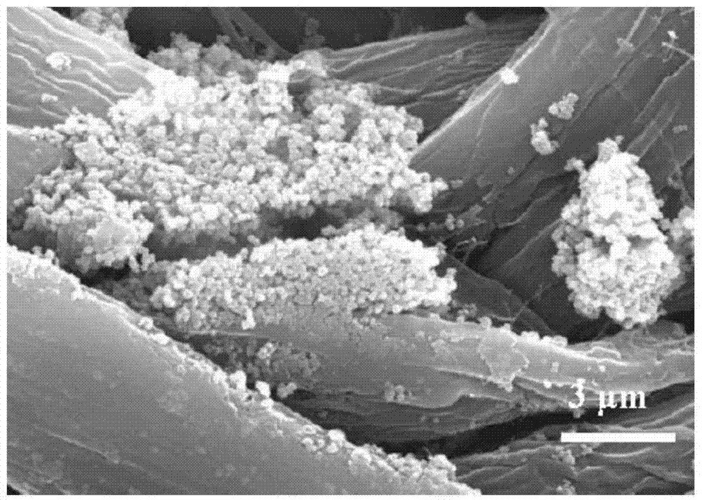 an attached sns  <sub>2</sub> Preparation method of non-woven fabric and its application