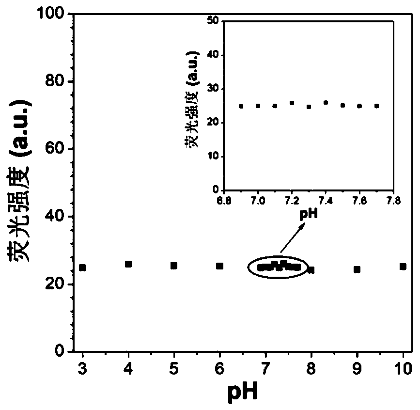 Red/near-infrared AIE probe and preparation method thereof, and application of red/near-infrared AIE probe in detection of Abeta aggregate and fibrotic plaques of Abeta aggregate