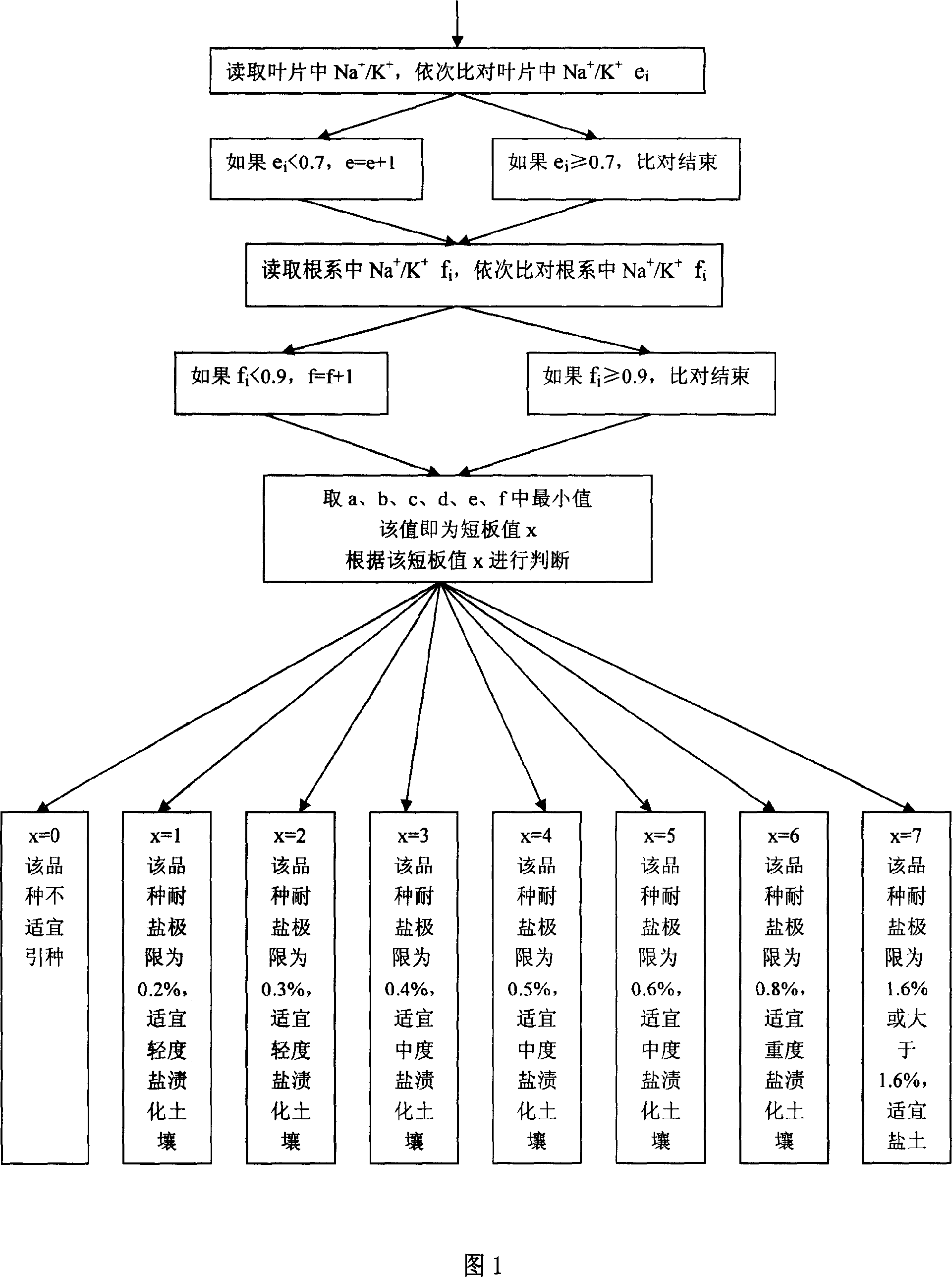 Computer estimation method for salt tolerance of non-halophyte herbaceous plant
