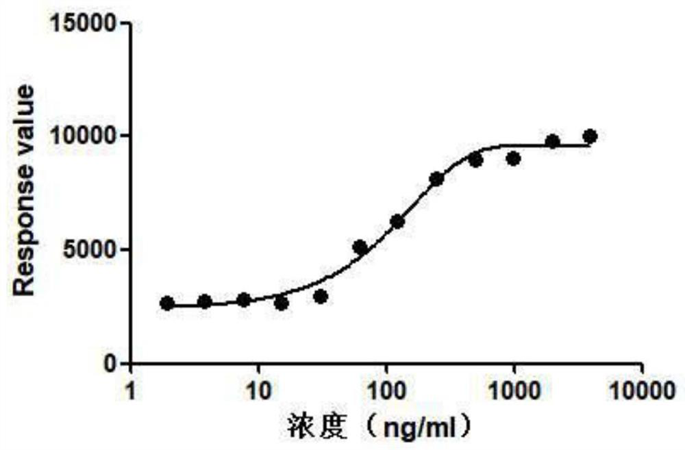 Insulin receptor protein expression cell strain and application thereof