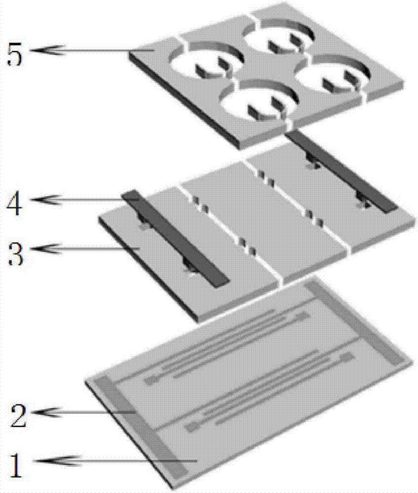 Microfluidic chip based on dielectric electrophoresis and preparation method and application thereof