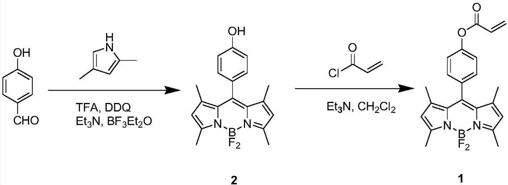 A kind of preparation method and application of cys fluorescent probe based on fluoropyrrole