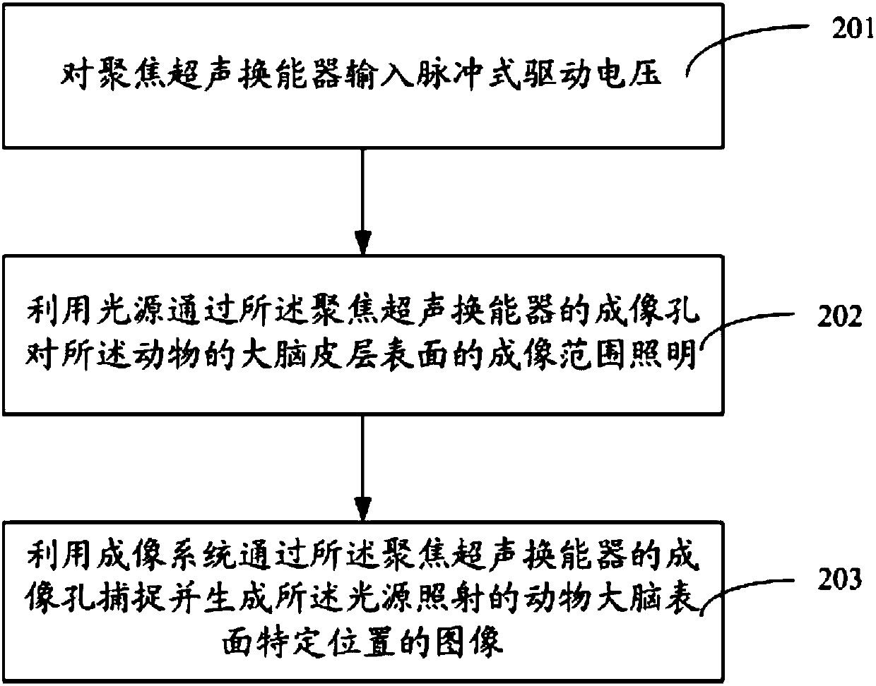 Multiparameter animal cortex blood flow monitoring device and method