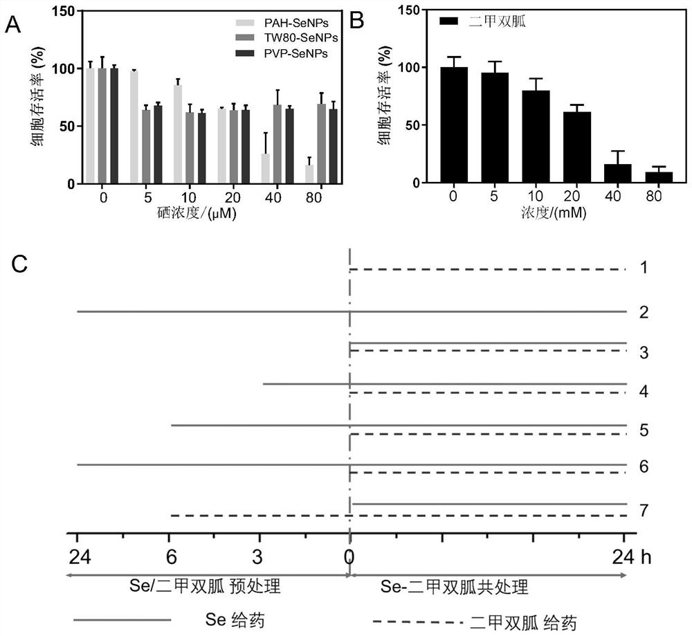 NK (Natural Killer) cell sensitizer prepared by combining functionalized nano-selenium with metformin and application of NK cell sensitizer