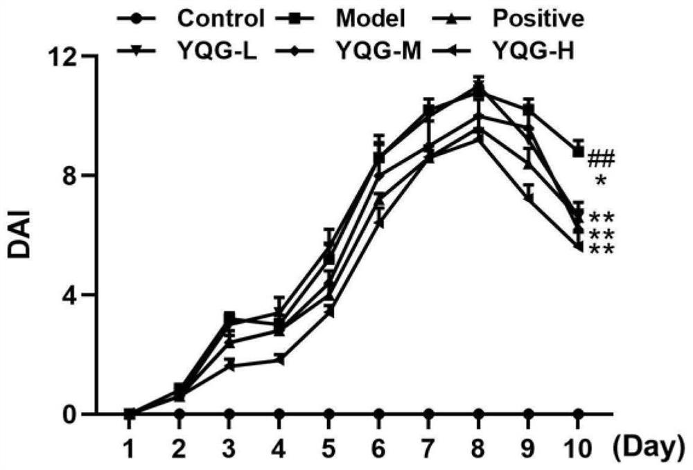 Application of medicine composition in preparation of medicine for treating inflammatory bowel disease