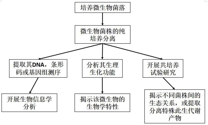 Preparation method and application of litter leach liquor adding culture medium of soil microorganisms