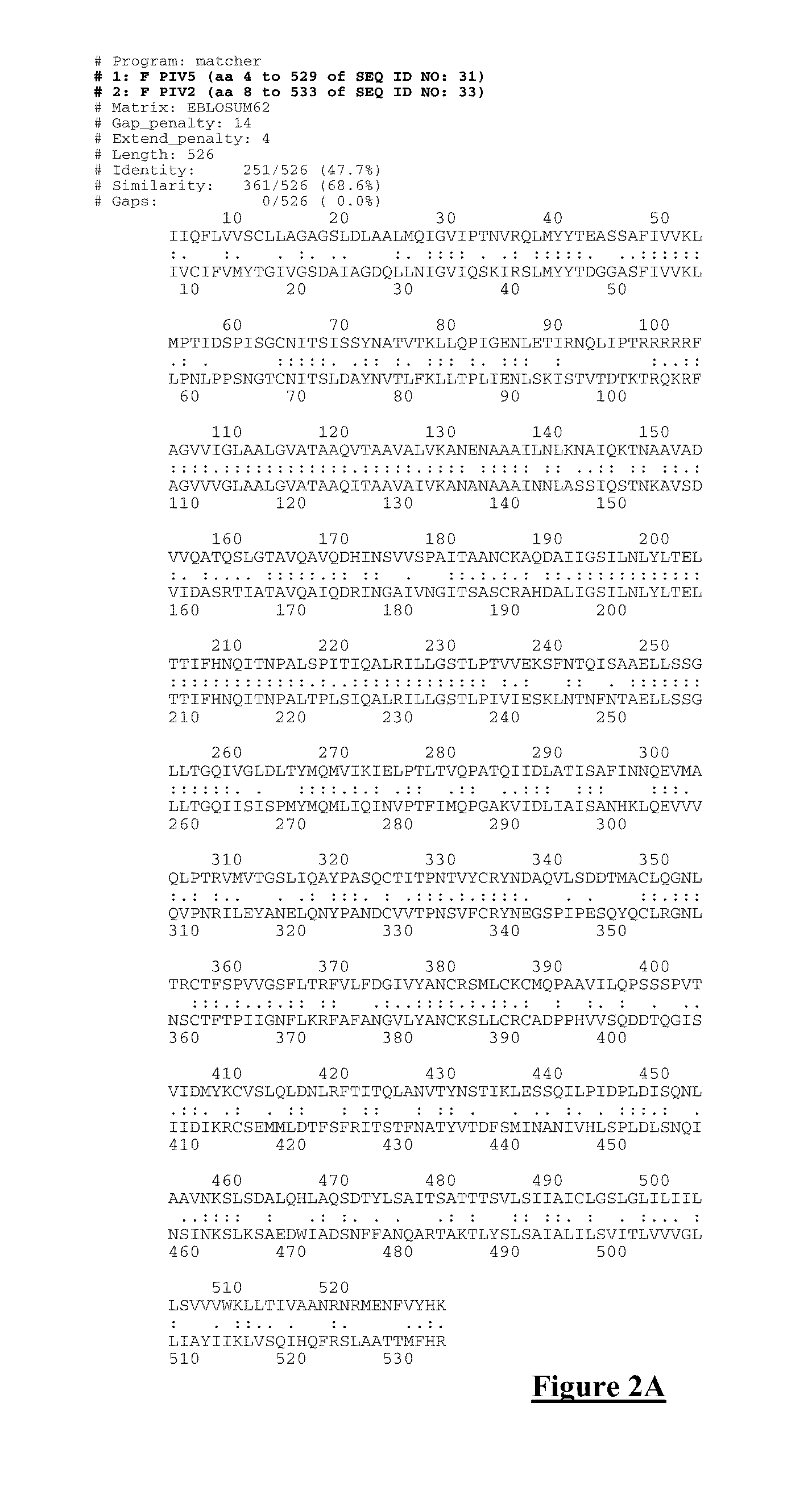 Mutant proteins of the F protein of PIV-5 and PIV-2