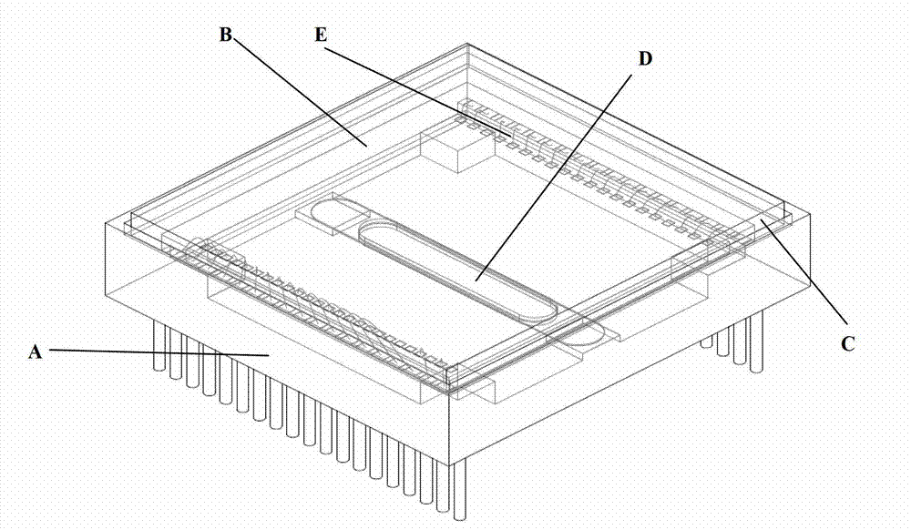 Vacuum sealing packaging structure and packaging method for infrared focal plane detector chip