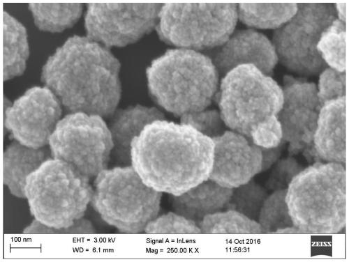 Preparation method of nano magnetic beads for purifying histidine tagged protein