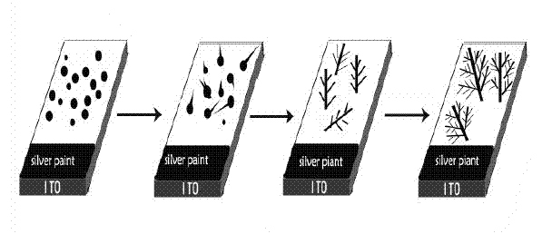 Silver nanodendrite surface enhanced Raman scattering (SERS) substrate, and preparation method and application thereof