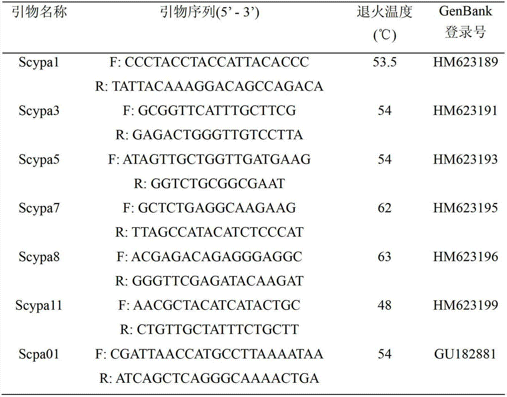 Method for microsatellite marker-based genealogy authentication of scylla paramamosain