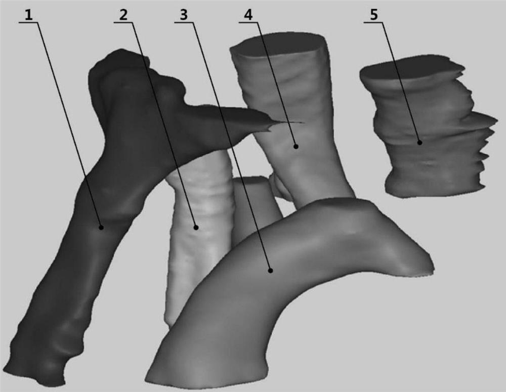 Parametric modeling method for ascending aorta, aortic arch and three branches of ascending aorta and aortic arch